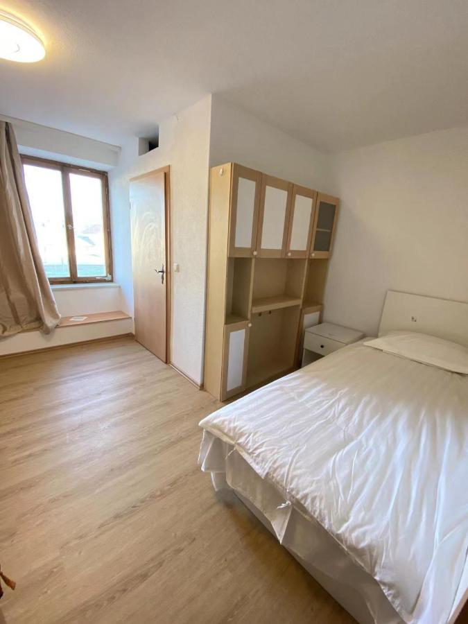 Panda Royal Klettgau Hotel Erzingen Екстериор снимка